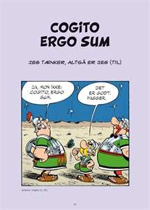 Asterix: Latinbogen side 30