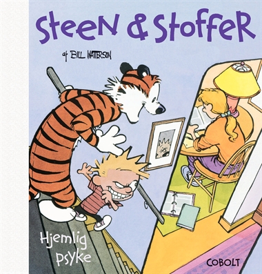 Steen & Stoffer 5: Hjemlig psyke - hardcover forside